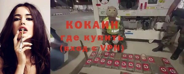 ECSTASY Медвежьегорск