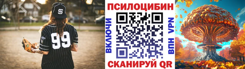 Галлюциногенные грибы Psilocybe  гидра зеркало  Сосновый Бор 