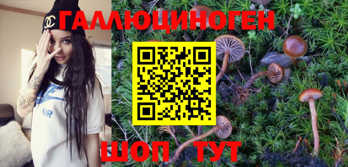 Галлюциногенные грибы мухоморы Сосновый Бор