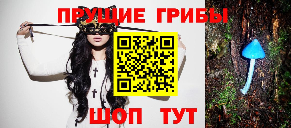 Псилоцибиновые грибы прущие грибы  Вход с VPN  Сосновый Бор 