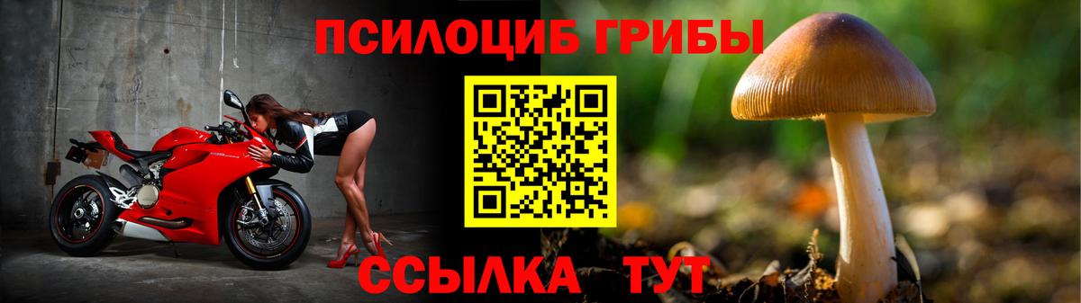 Галлюциногенные грибы мухоморы Сосновый Бор